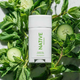 Native Deodorant - Natural Deodorant 3-Pack | $25 | Amazon